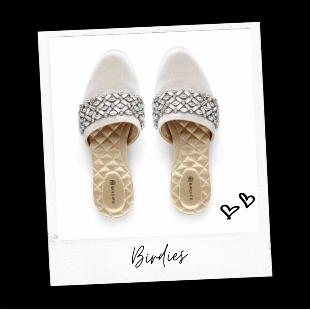RARE 🕊 BIRDIES 🕊 Songbird Snow Chrystal Slides